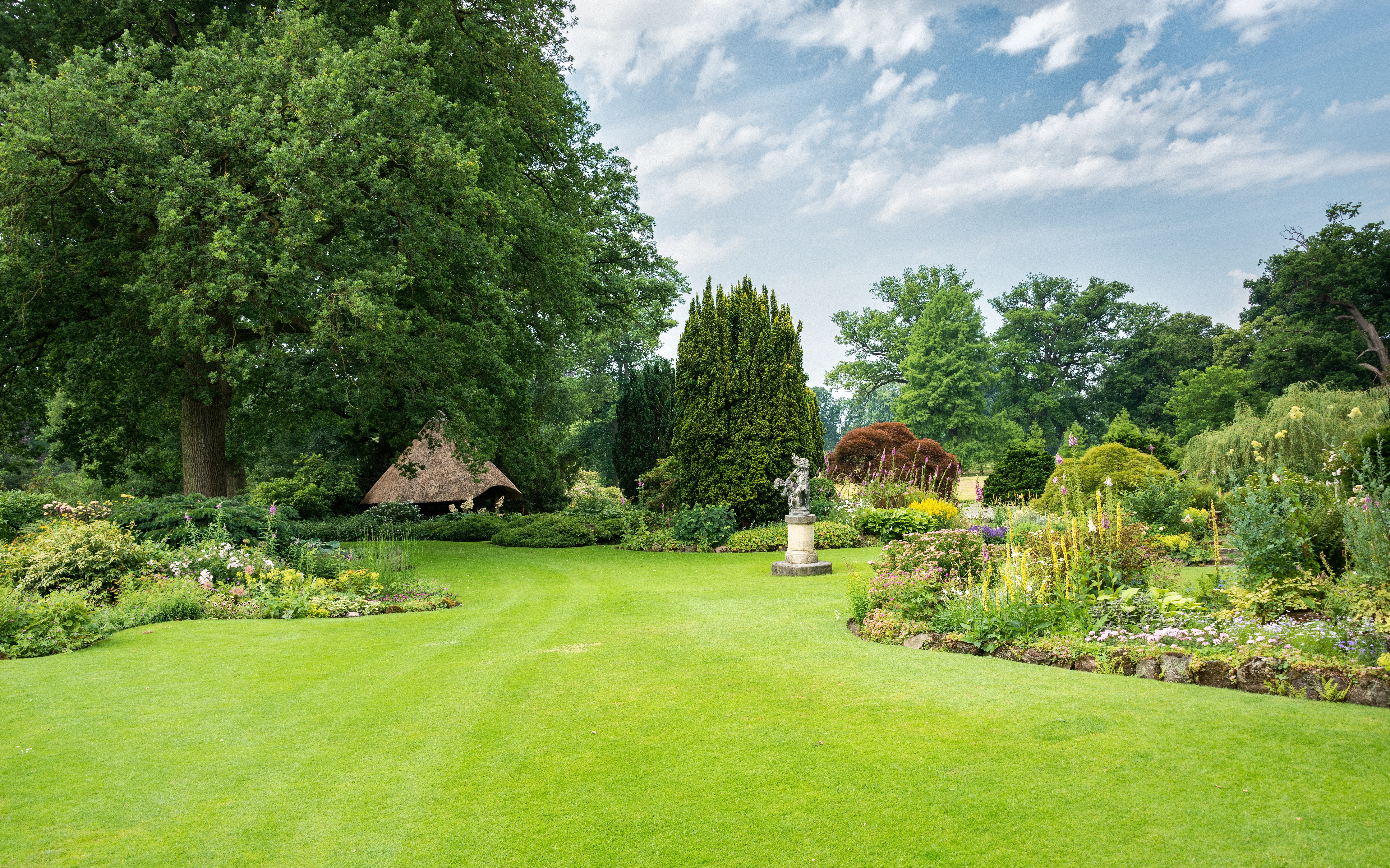 Professional Lawn Care Services